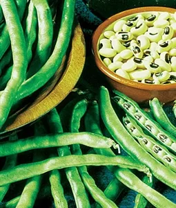 Cowpeas, California Blackeye 1/2lb