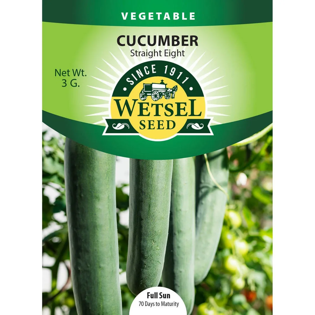 Cucumber, Organic Straight 8 2 Grams - Image 2