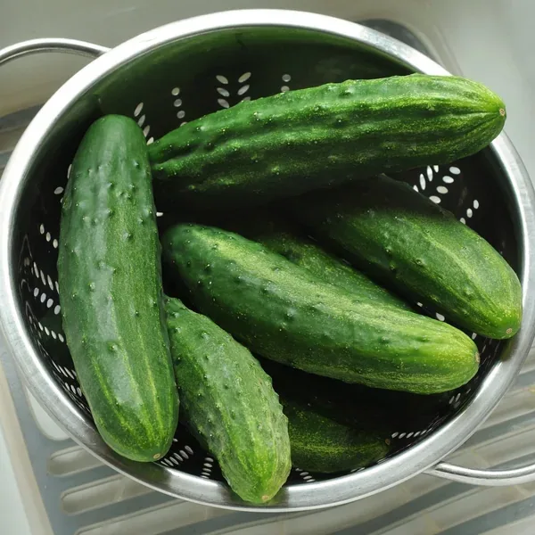 Cucumber, Patio Snacker 500 Seed Count - Image 2
