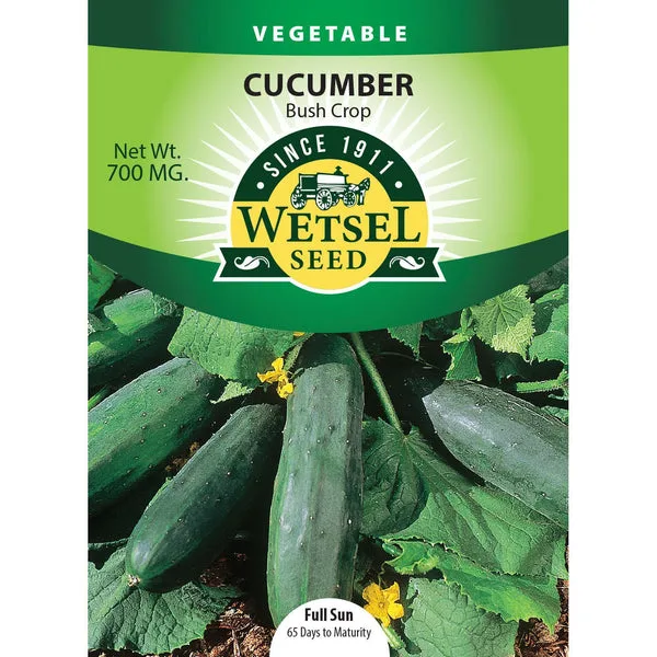 Cucumber, Salad Bush 10 Seed Count - Image 2