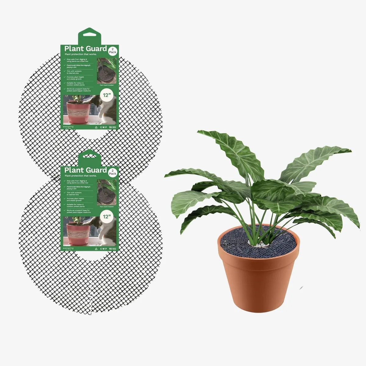 CWP Plant Guard - Image 2