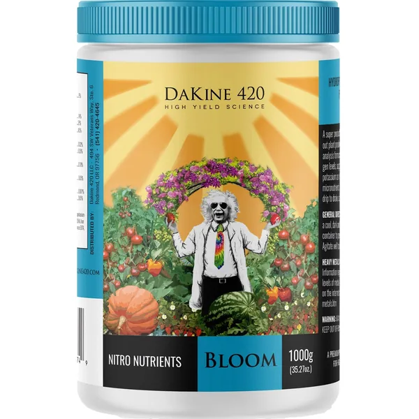 Dakine holdings (DAKBLM1000)