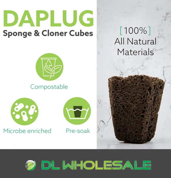 Daplug sponge cubes bulk