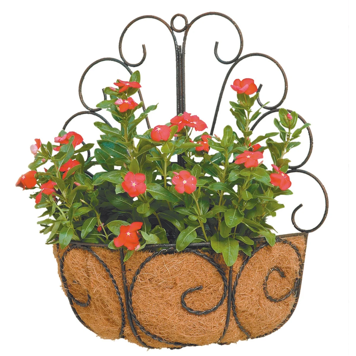 Deer Park Ironworks Peacock Wall Basket
