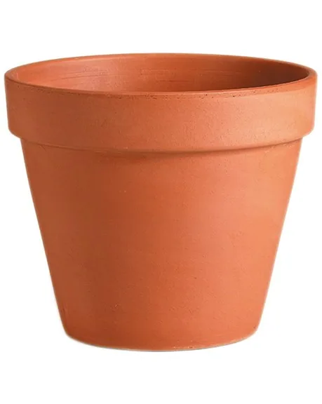 Deroma 10.6" Standard Terra Cotta Clay Pot