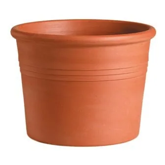 Deroma 5.5" Cylinder Terra Cotta Clay Pot
