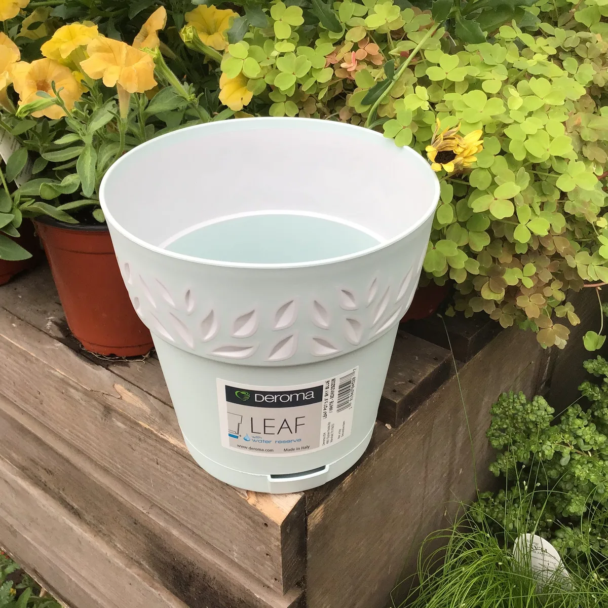 Deroma 5.9 Leaf Pot Premium Plastic Sky Blue - Image 2