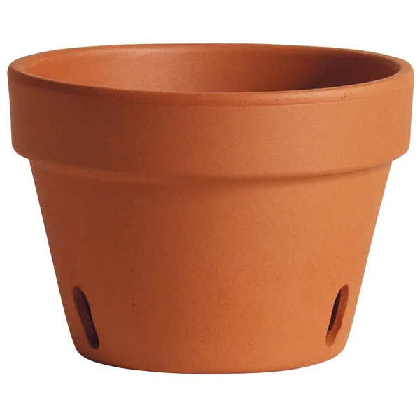 Deroma 6.7" Orchid Terra Cotta Clay Pot