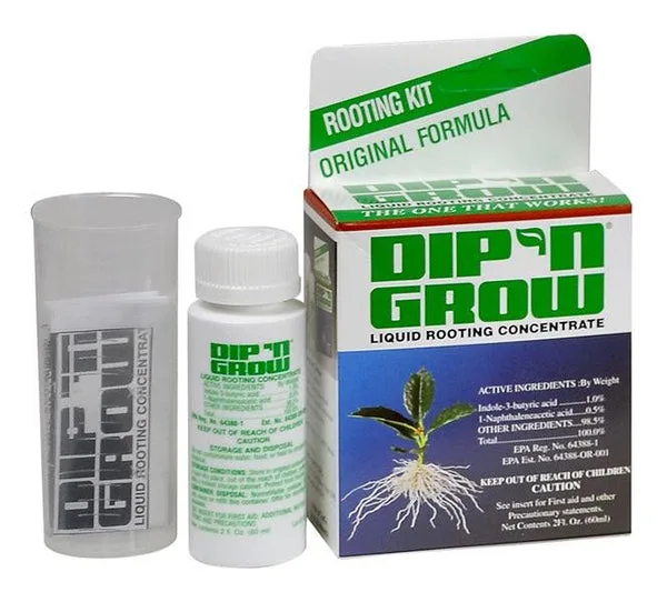 Dip' N Grow Dip-n-Grow 1Pt ORM-D — Case of 12 - Image 2