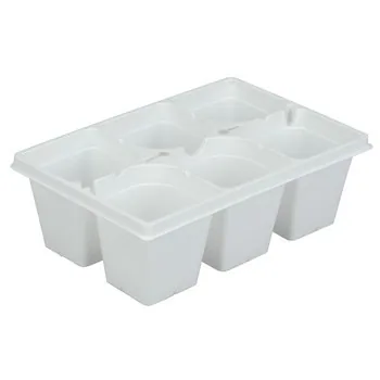DLN T306bp (Ach) True 6 Cell Bskt Pack Wht (Case of 300)
