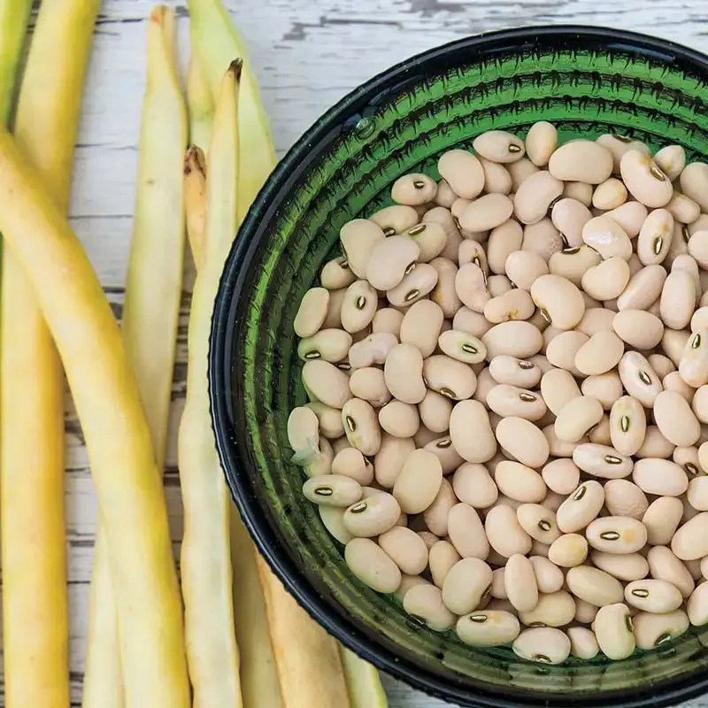 Elite Cream Cowpeas 50 lbs - Image 2