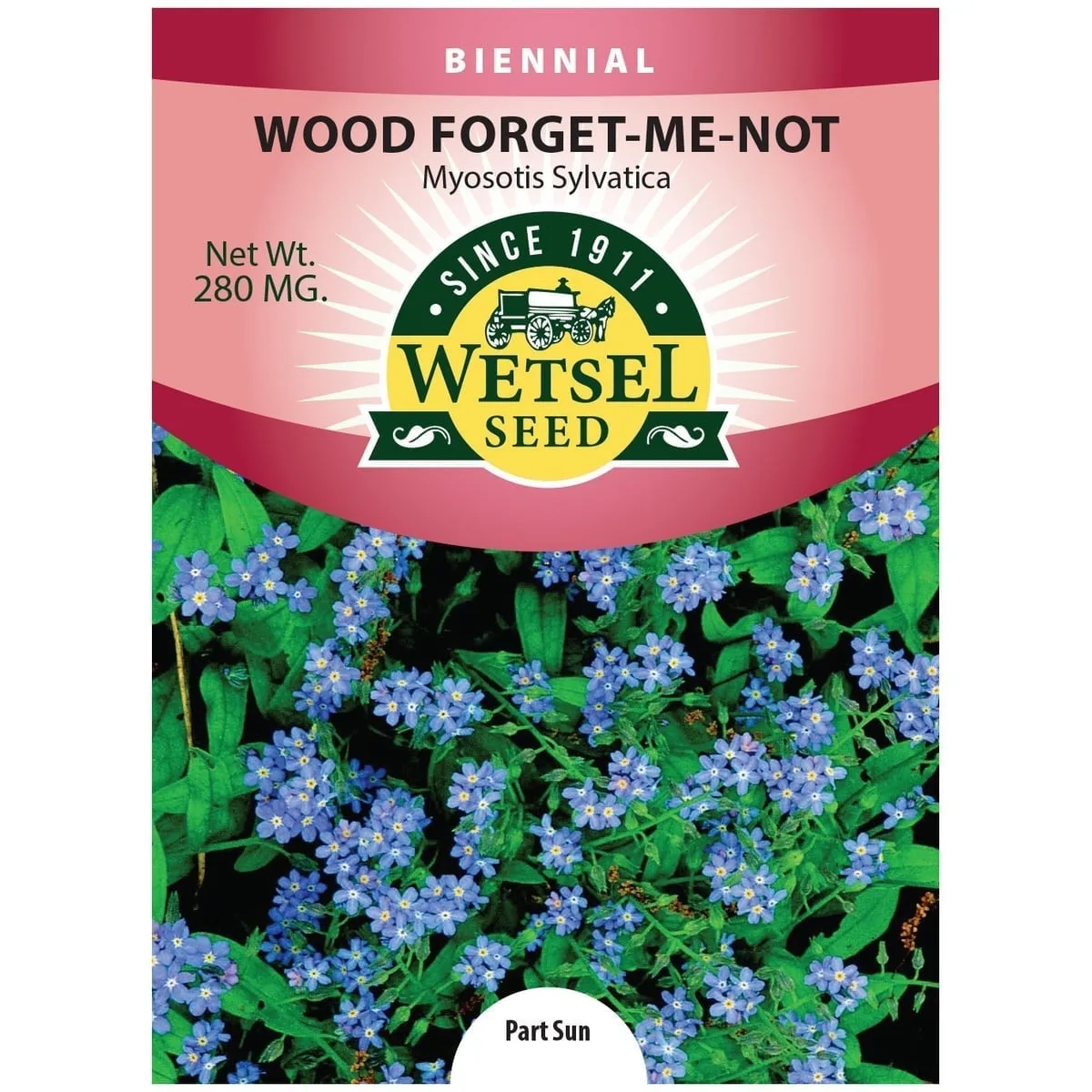 Forget Me Not 280mg - Image 2