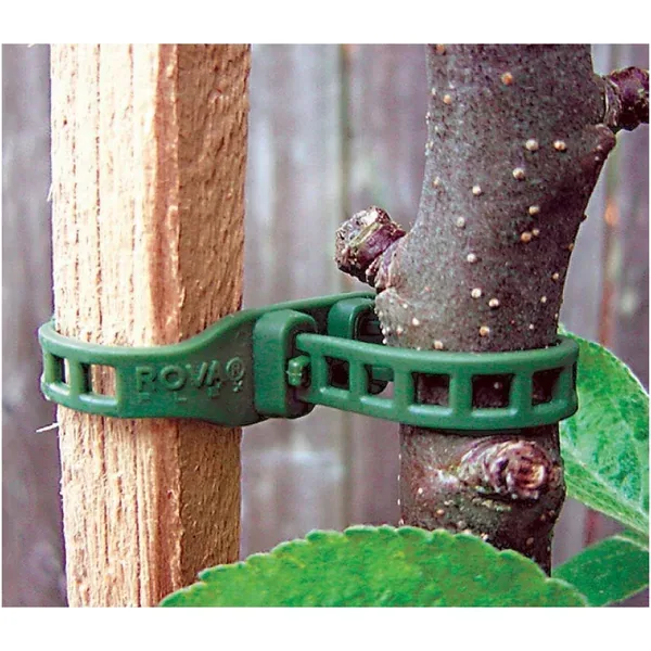 Garden Works 10ct 10 7/16" Softbinder - Image 2