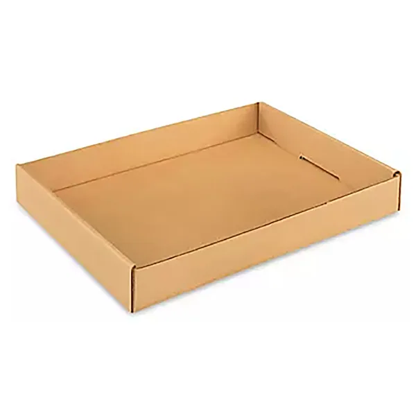 Gardener Select 18"x12"x2" Cardboard Carry Tray