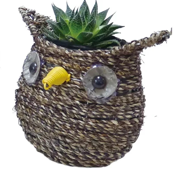 Gardener Select 7" Small Owl Rattan Rope Topiary - Image 2