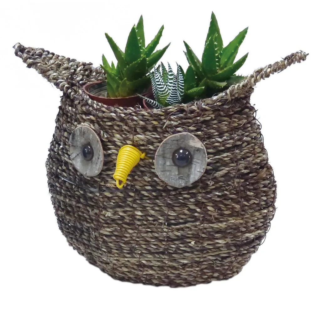 Gardener Select 9.5" Medium Owl Rattan Rope Topiary - Image 2