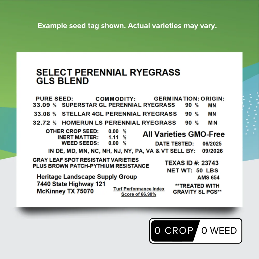GLS 50 lbs Perennial Ryegrass Blend BT Cert - Image 2