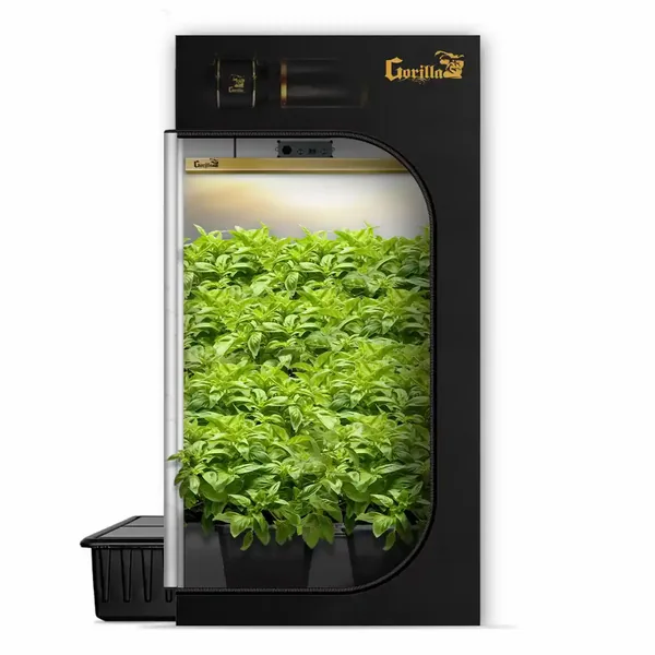 Gorilla Grow Tent 4x4 Gorilla Grow Room - HYDROPONIC - Bubble Flow Buckets