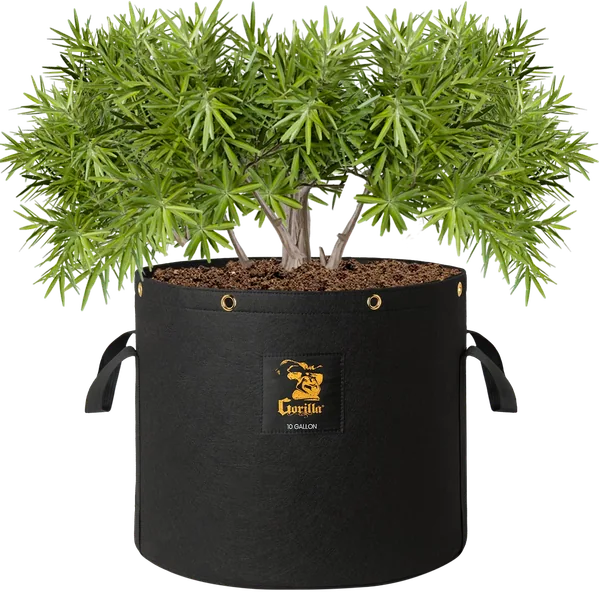 Gorilla 10 Gallon Grow Bags (4 Pack)