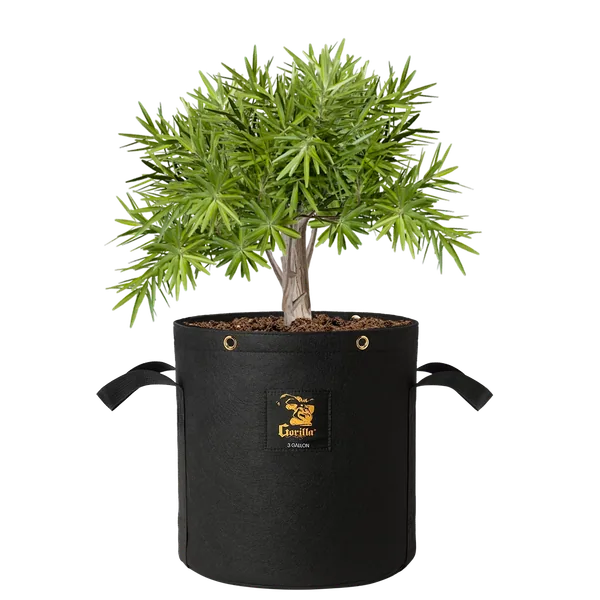 Gorilla 3 Gallon Grow Bag (4 Pack)