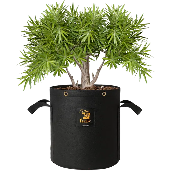 Gorilla 5 Gallon Grow Bag (4 Pack)