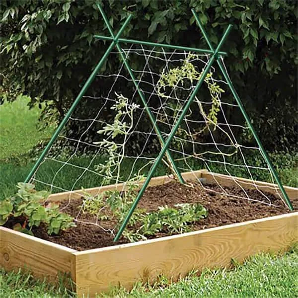 Grow1 4ft Steel Stake Plant Supports - Green 5/16" 20pcs - Image 2