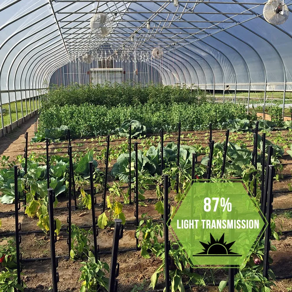 GROW1 Greenhouse Film 6mil 24ft x 100ft - Image 2