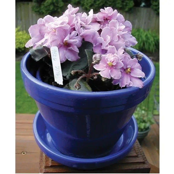 Grow1 Plant Stake Labels Purple (1000-Pack) - Image 2