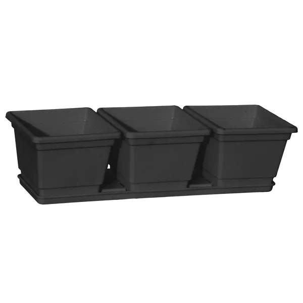 Grower Select 04.50 Randi-Lynn #2 3 Pack w/ Tray Black