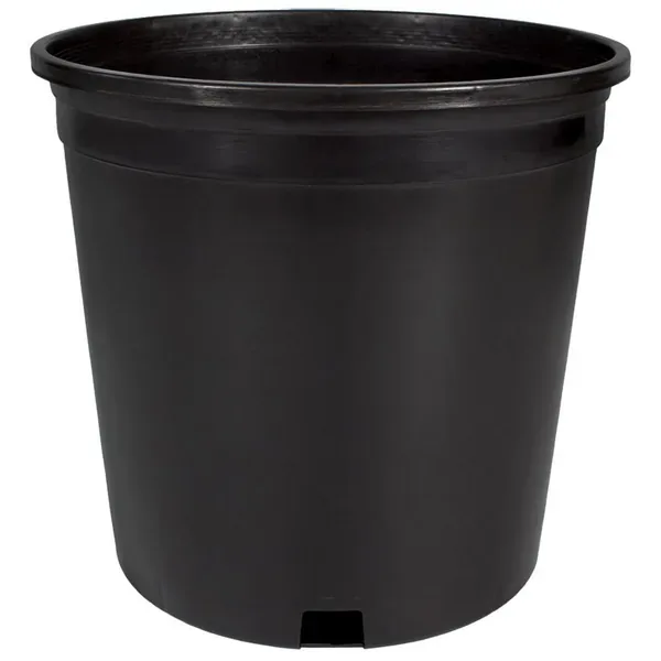 HC #2 2 Gallon Nursery Container Black 50 per Bundle - Image 2
