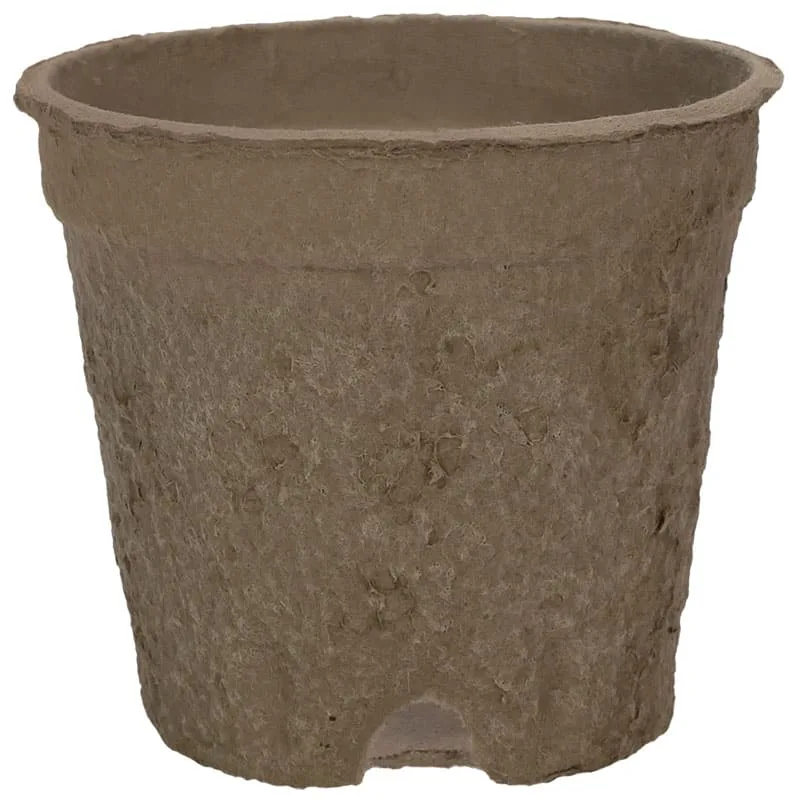 HC 6" EcoGrow Nursery Pot