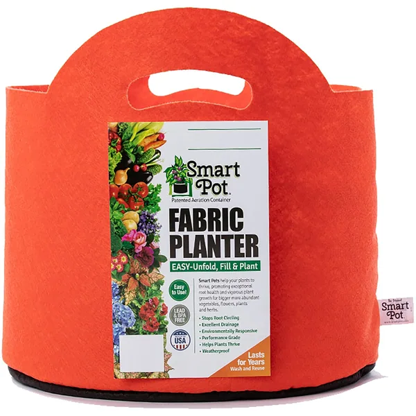 High Caliper Growing Smart Pot 12pc Mandarin Orange w/ Handle