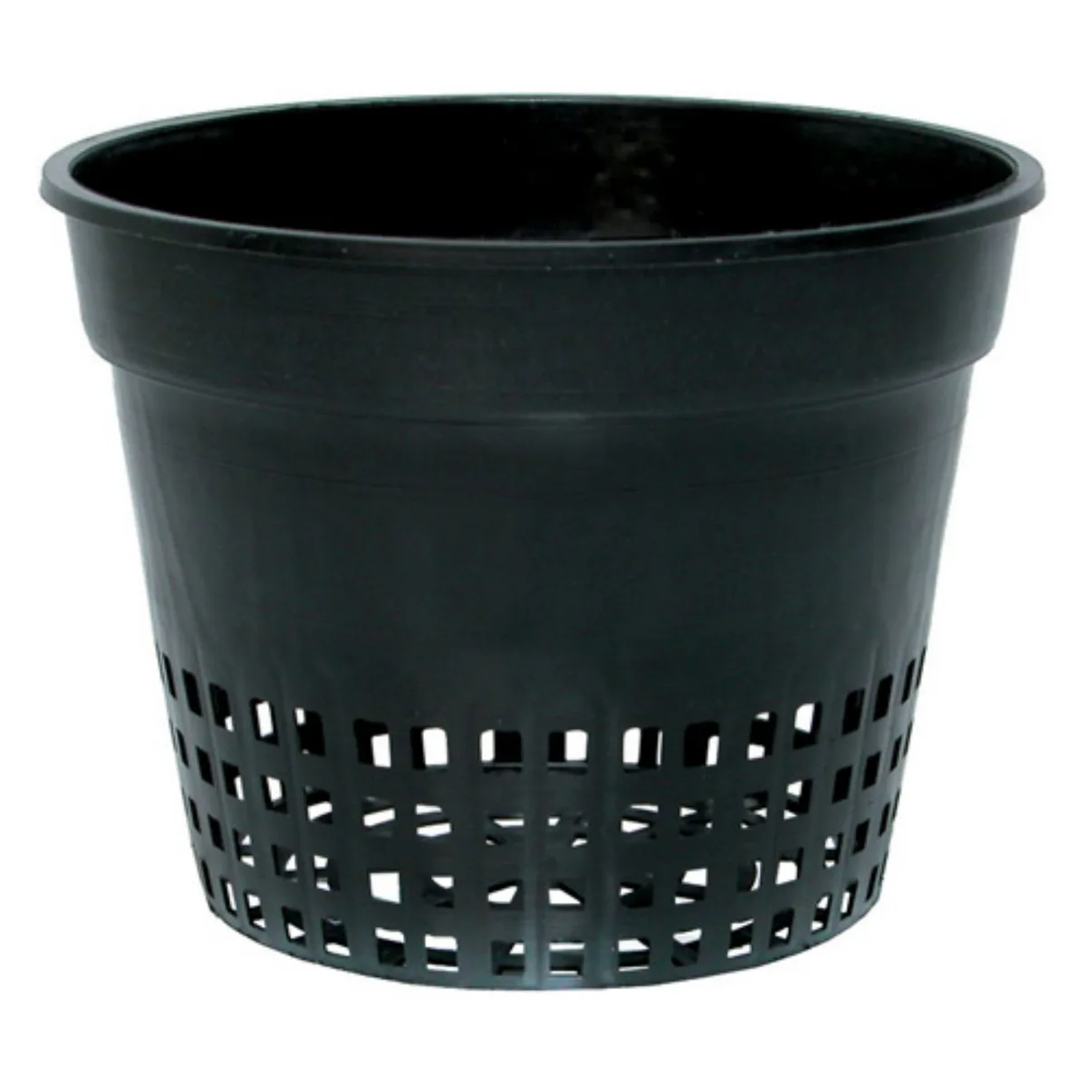 Net Cup, 6", bag of 50 - Image 2