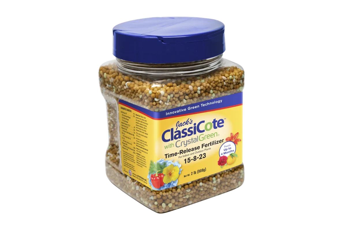 Jacks Classic 200ct Pack ClassiCote 15-8-23 Samples - Image 2