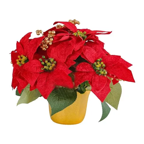 Jacks Prof Poinsettia FeED + CaMg 15-4-15 25Lb - Image 2