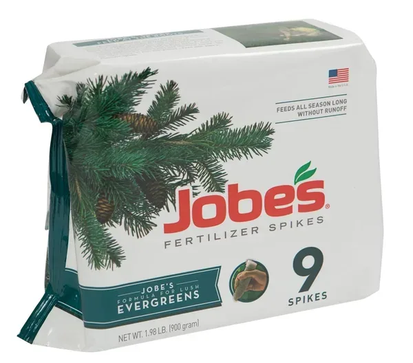 Jobes 9ct Evergreen Spikes - Image 2