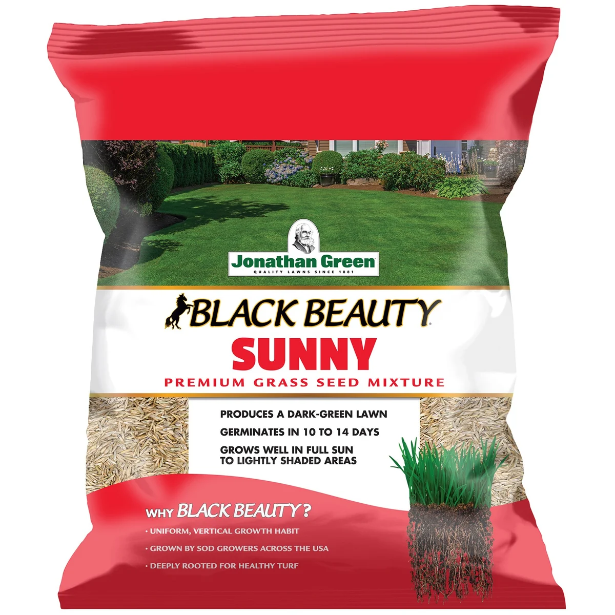 Jonathan Green Black Beauty Sunny Grass Seed Mix