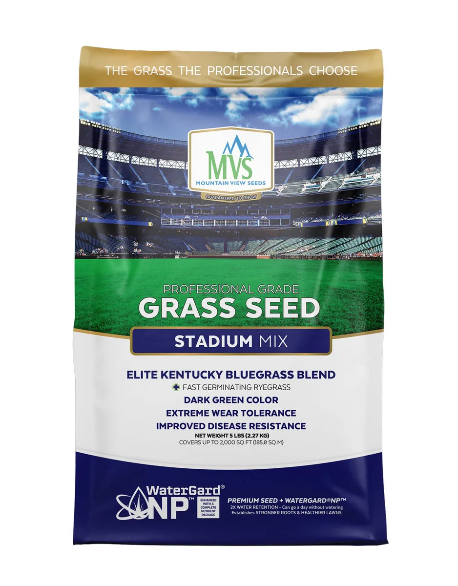 Kentucky Bluegrass 85/80 50 lbs - Image 2
