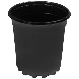 Landmark Plastic Trade 06.50 Coex Nursery Pot Black , 1Gallon