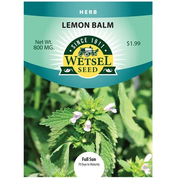 Lemon Balm 800mg - Image 2
