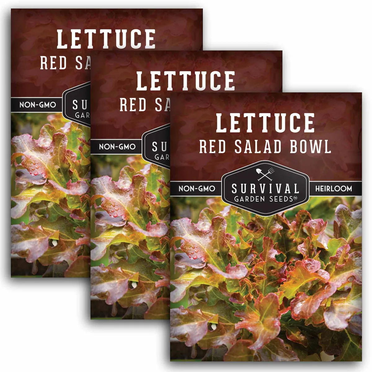 Lettuce, Red Salad Bowl 50 lbs - Image 2