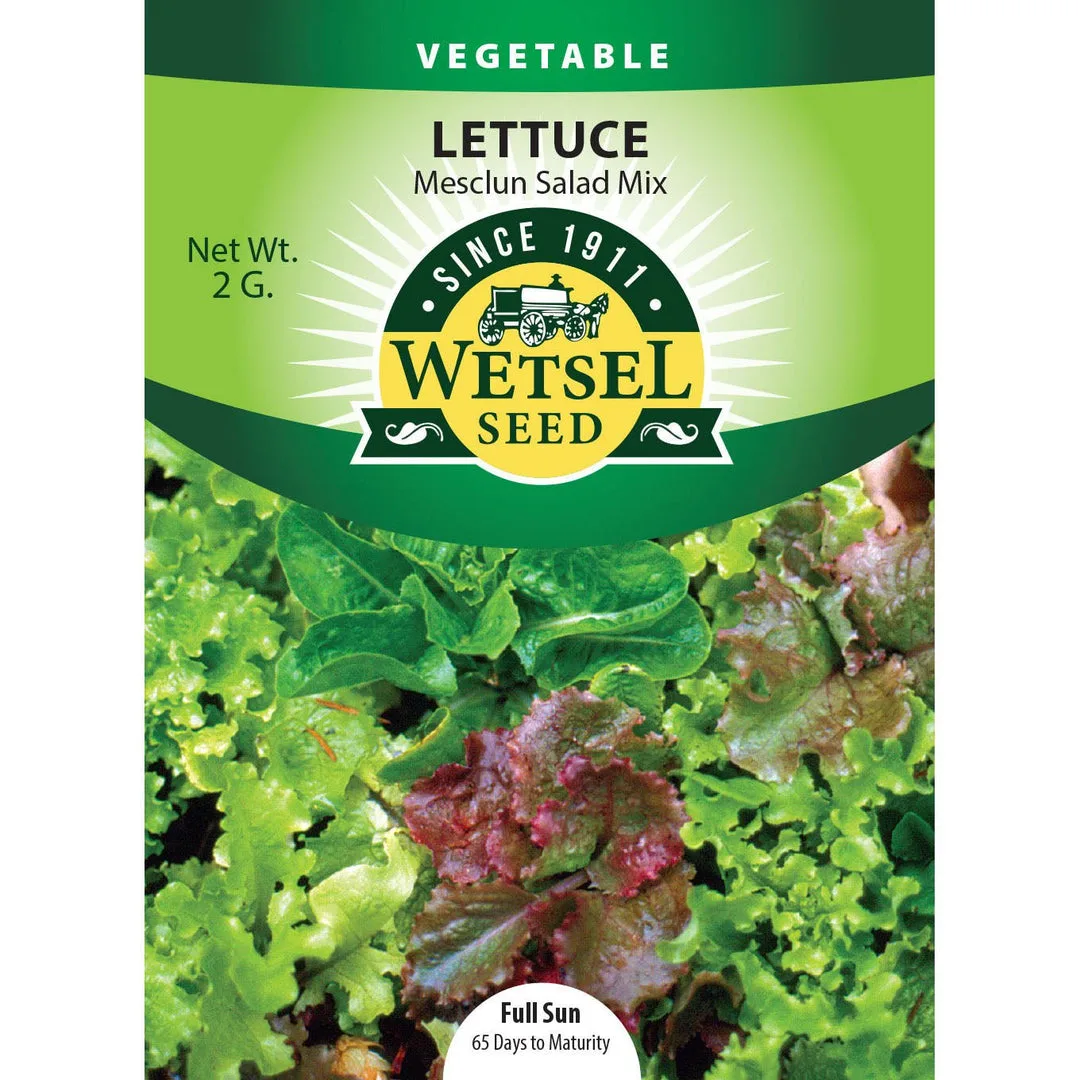 Lettuce, Salad Bowl 3 Grams - Image 2