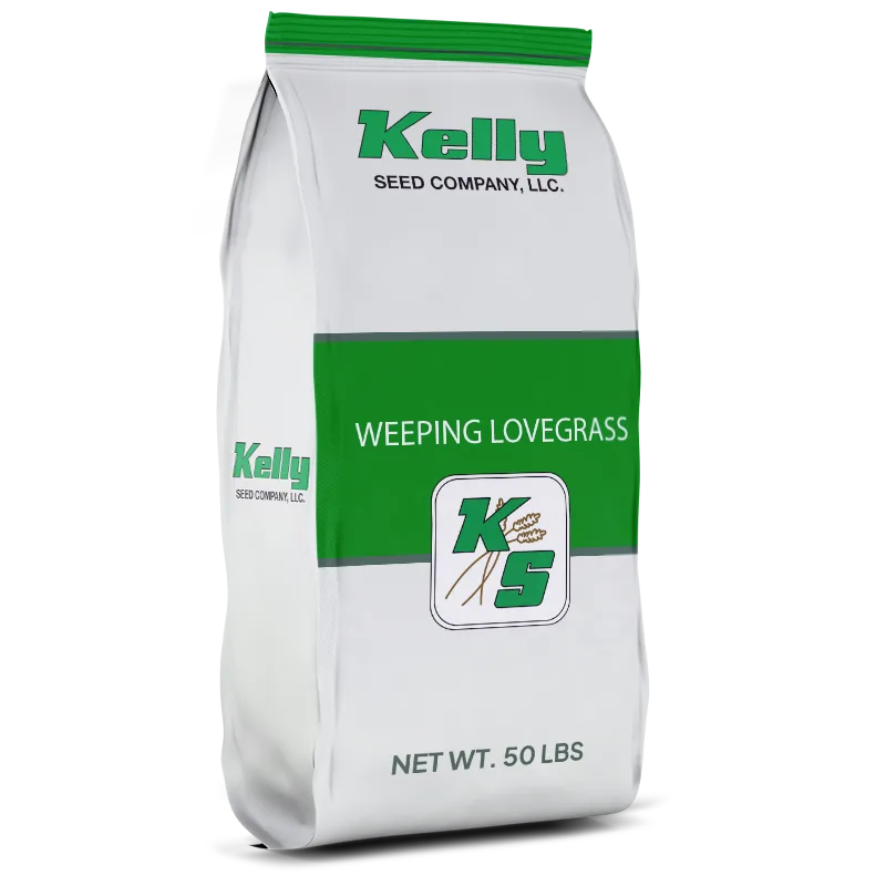Lovegrass, Weeping 50 lbs - Image 2