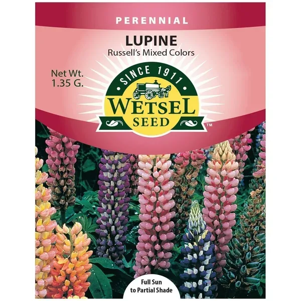 Lupine, Russell's Mix 1.35 Grams - Image 2