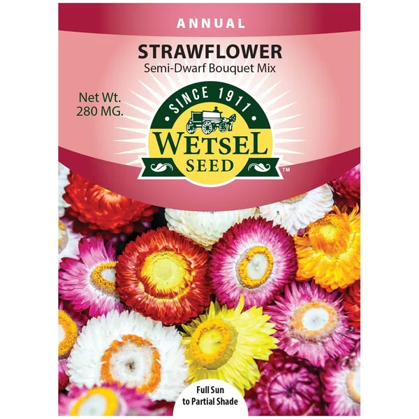 Marigolds, Naughty Marietta Dwarf 280 MG