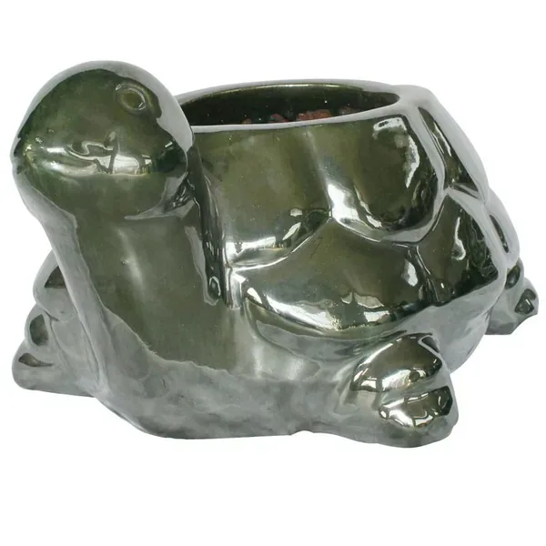 MCarr 13.4" Turtle Planter Falling Green - Image 2