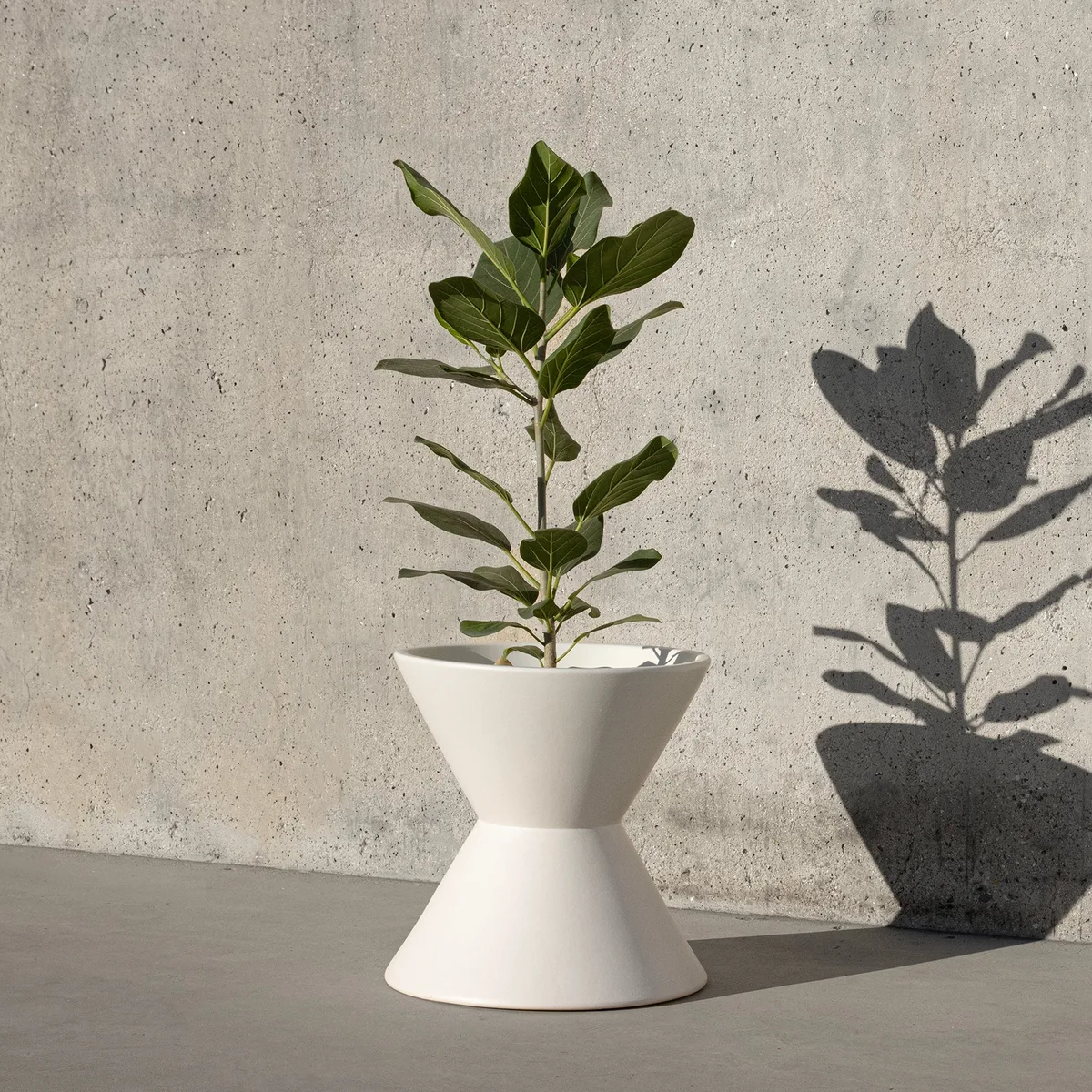 MCarr 30pc Hourglass Planter Pallet Terrabetta - Image 2