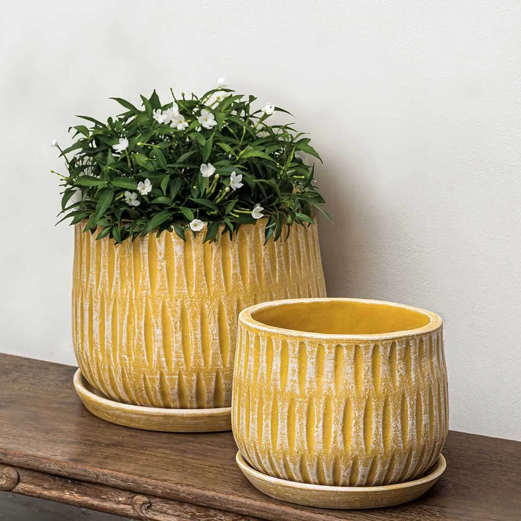MCarr 35pc Round Planter Pallet Yellow Cream - Image 2
