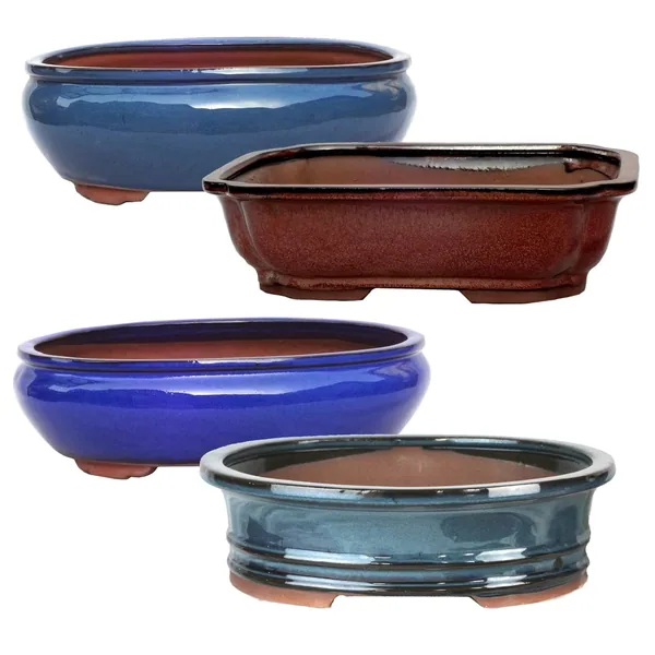 MCarr 4PC 12" Bonsai Planter Set Mixed Colors (Case of 4)