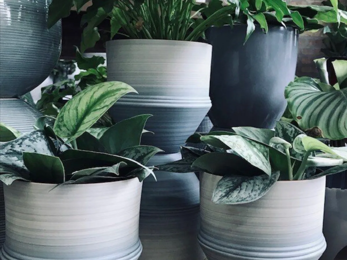 MCarr 5.3"x5.3"x4" Ceramic Pot Matte Multi Color Stripes - Image 2